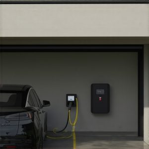 Read more about the article Panel Upgrades & Code Compliance: Safe EV Charging Solutions for Homes in 2024